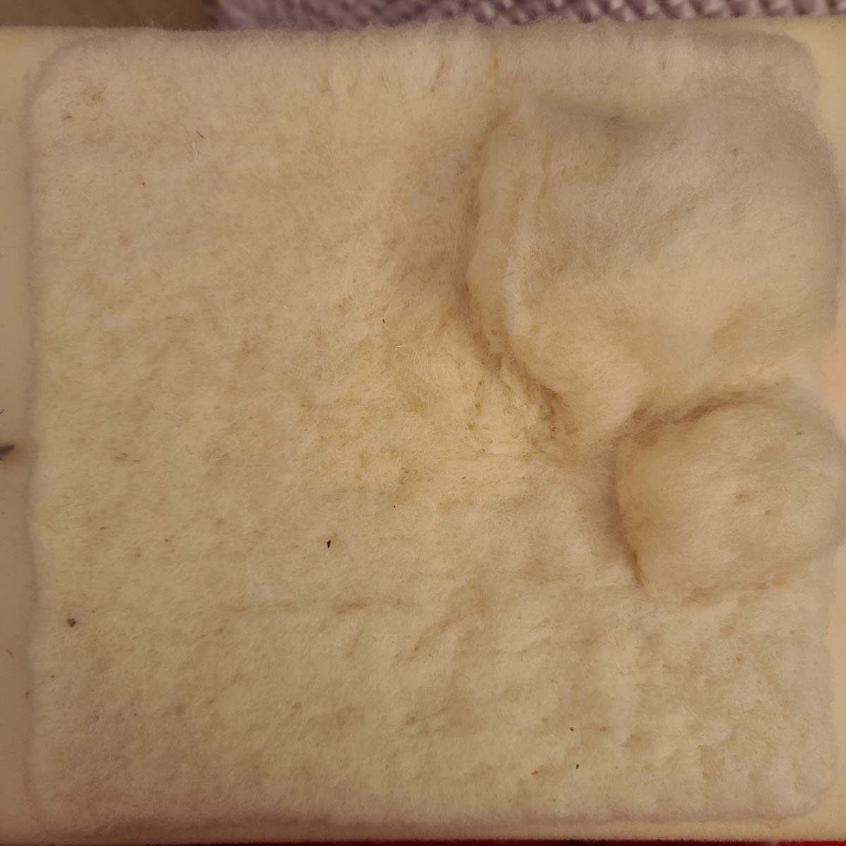 Needle Felting a Bear Illustration