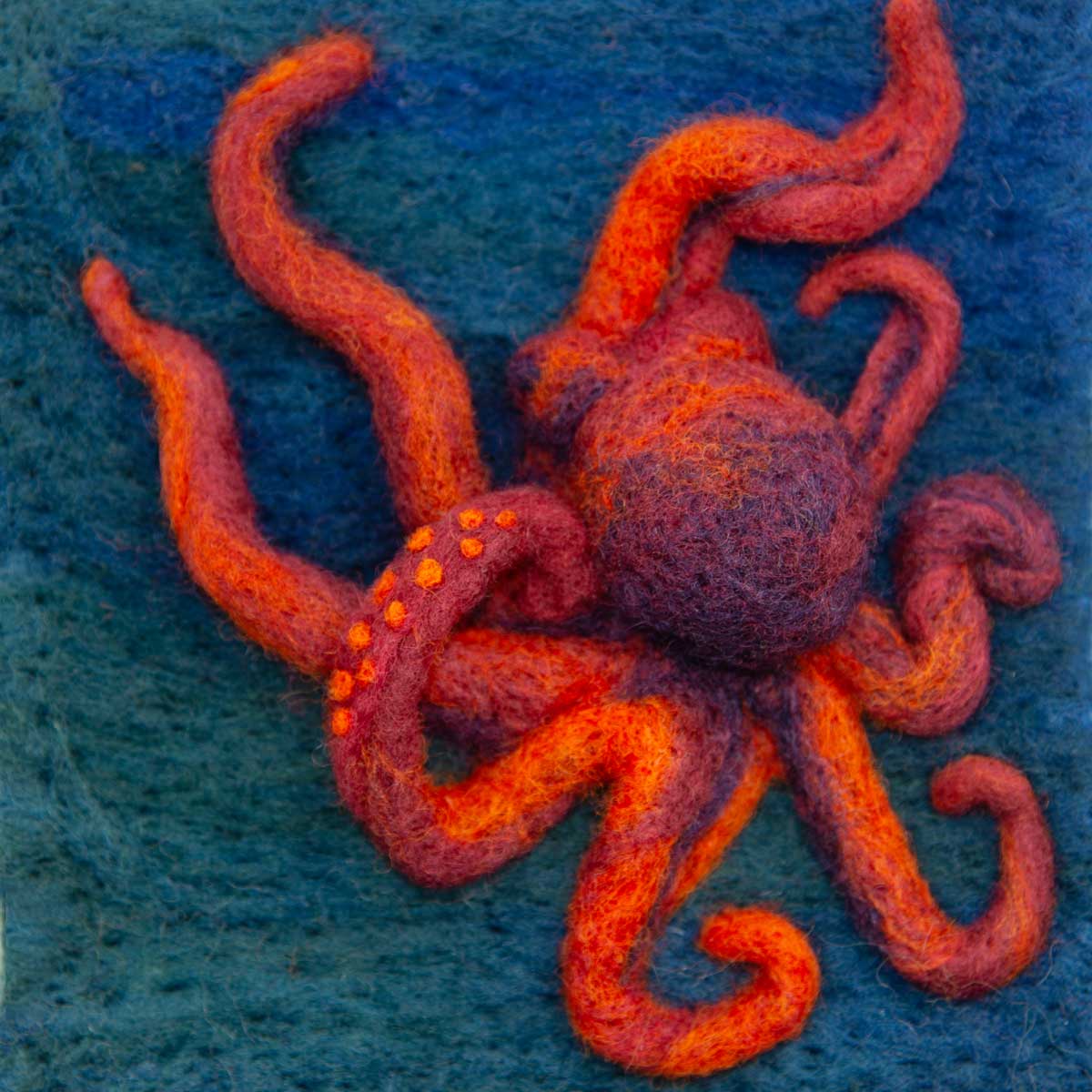Octopus-Hillary-Dow Octopus - Needle Felted Illustration for Hillary Dow's ABC picture book