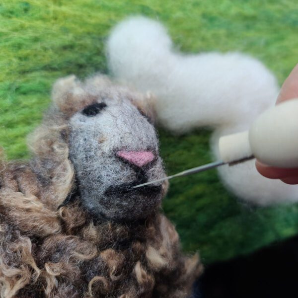 Needle Felting the mouth and nose onto a sheep